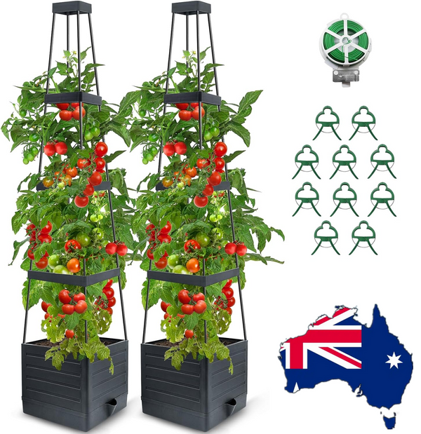 2 Packs Raised Garden Bed Tomato Planter Tomato Cages Climbing Vegetables Plant