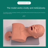 PVC Intubation Manikin adult Study Teaching Model Airway Management Trainer