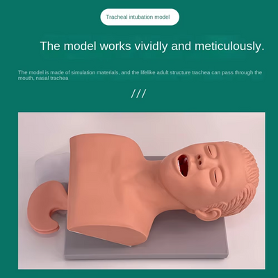 PVC Intubation Manikin adult Study Teaching Model Airway Management Trainer