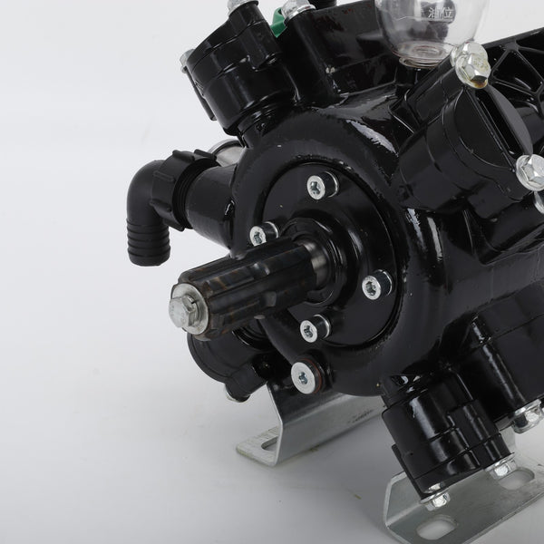 45/60L Agricultural Sprayer Pump Booster Pump Diaphragm Pump W/ Control Valve