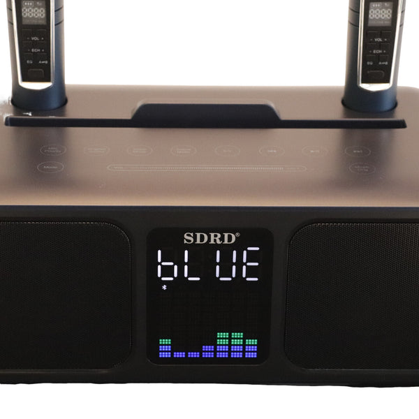 Bluetooth Karaoke Speaker & 2 Wireless Microphones Rechargeable Karaoke Machine