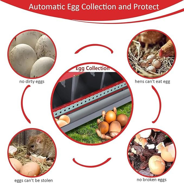 6 Hole Chicken Hen Coop Hutch Inside Outside Roll Away Lay Egg Nesting Box Metal