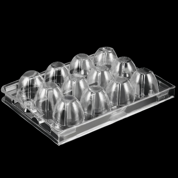 100 Pcs Quail Egg Cartons Square Dozen Egg Boxes 3x4 Holds 12 Count Thickened AU