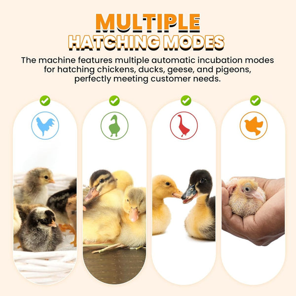 Automatic Egg Incubator Led Digital Fully Eggs Poultry Hatcher Chicken Duck