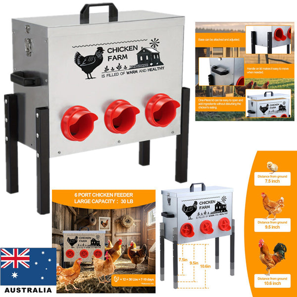Automatic Poultry Feeder Box 30 lbs Turkeys Chicken Feeder Box Weatherproof