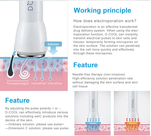 Portable Dcool Cryo Cool Electroporation EMS Mesotherapy Machine Face Skin Lift