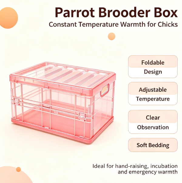 Portable Bird Brooder Box Chicken Coop Parrot Incubator Temperature Control