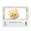 Smart Still Air Mushroom Box Desktop Mushroom Cultivator Planting Tent Xmas Gift