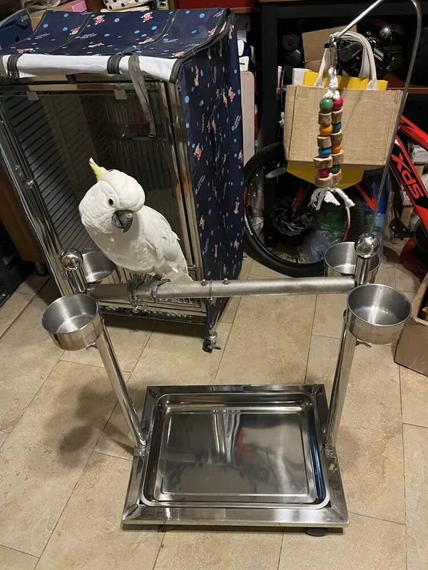 Adjustable Height Bird Perch Play Stand Parrot Playstand With Feeding Bowls