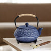 900ml Cast Iron Kettle Teapot Tea Pot Infuser Strainer Black Japanese Style