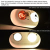 Reptile Lamp Double Dome UVB Light Head For Turtle Lizard with Separate Switches