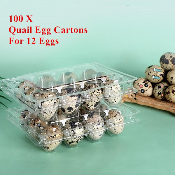 100 Pcs Quail Egg Cartons Square Dozen Egg Boxes 3x4 Holds 12 Count Thickened AU