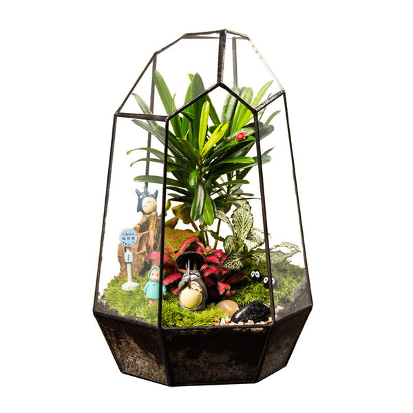Glass Geometric Plant Terrarium Succulent & Air Planter Indoor Tabletop Decor
