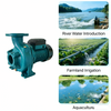 220V Centrifugal Water Transfer Pump Large Flow Max 900 L/min 1.1HP Max Head 12m