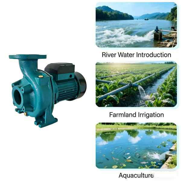 220V Centrifugal Water Transfer Pump Large Flow Max 900 L/min 1.1HP Max Head 12m