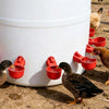 Automatic Chicken Feed Bucket with 12 Feeders Ports 10L Capacity Poultry Feeder