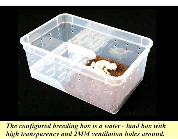 Reptile Breeding Box 8 Compartment Reptile Cabinet for Snake Gecko Lizard AU