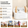 Professional Hearing AIDS 16-channel Bluetooth Digital RIC Hearing Aids Elderly