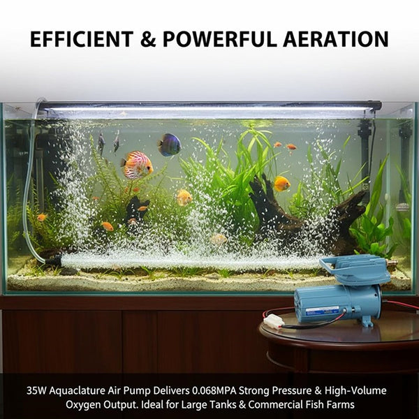 Oxygen Booster Portable DC Air Pump Fish Pond Oxygen Fish Tank Aerator 24V 130W