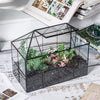 Glass Terrarium House Planter – Succulent Plant Glass Greenhouse with Lid AU