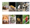 120x60x60cm Reptile Terrarium Constant Temperature Feeding Box Reptile Incubator