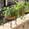 5 Pack Plant Stand Heavy Duty Outdoor Indoor Flower Pots Holder Metal 5 Sizes AU