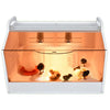 80CM Chick Brooder Box Rearing Poultry Feeding Box Keep Warm Up to 35 Chicks