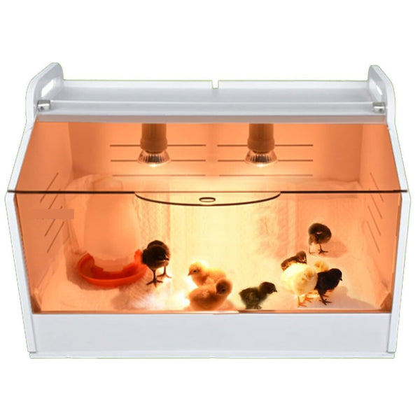 80CM Chick Brooder Box Rearing Poultry Feeding Box Keep Warm Up to 35 Chicks
