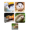 80CM Chick Brooder Box Wood with Digital Thermostat for Chicks Quail Hamsters AU