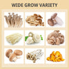 Smart Still Air Mushroom Box Desktop Mushroom Cultivator Planting Tent Xmas Gift