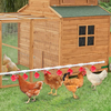Auto Chicken Waterer System Chick Duck Watering Feeder PVC Pipelines 8 Cups AU