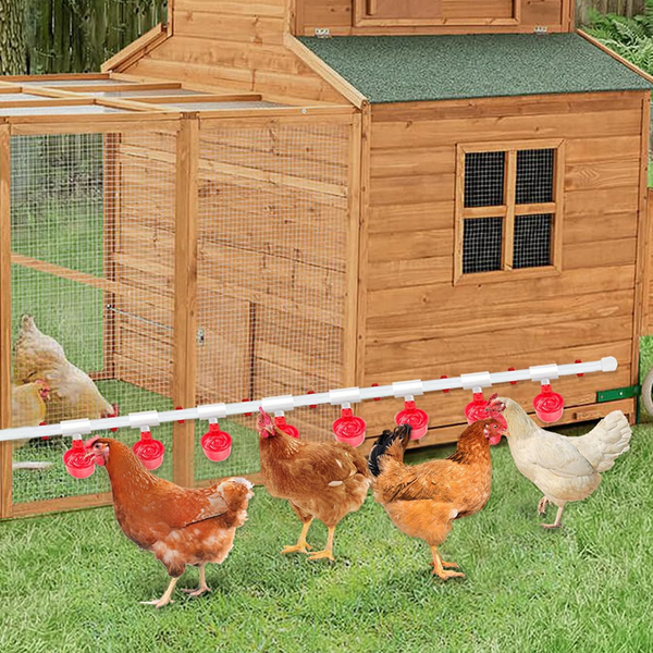 Auto Chicken Waterer System Chick Duck Watering Feeder PVC Pipelines 8 Cups AU