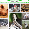 300W Heat Lamp for Chicken Coop Waterproof Brooder Heater for Chick,Duck,Poultry