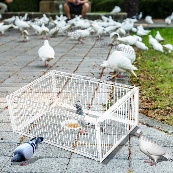 Birds Cage Small Animals Catch Trap Four Sides One Way Entrance Anti-Escape Slot