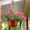 24PCS Plastic Hanging Plant Pots 17cm Hanging Plant Containers Hanging Planters