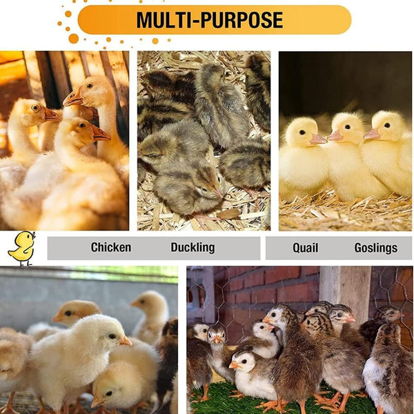 80CM Chick Brooder Box Rearing Poultry Feeding Box Keep Warm Up to 35 Chicks