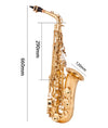 Eb Alto Saxophone Brass Lacquered Gold E-Flat Sax with Case & Accessories
