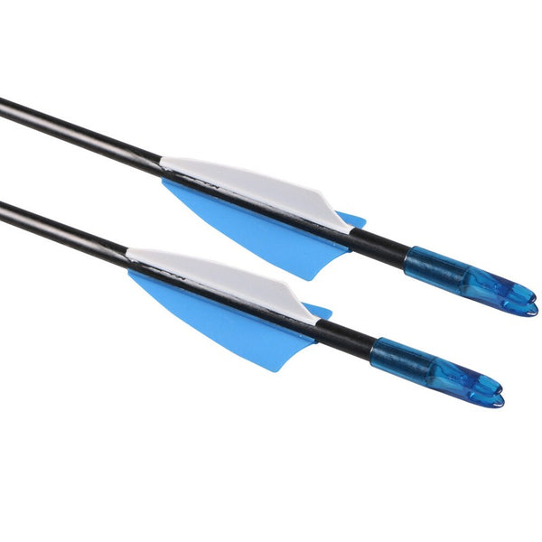 50x 31" FiberGlass Arrows Hunting Target Shooting Arrows for Teenager Upto 35LBS