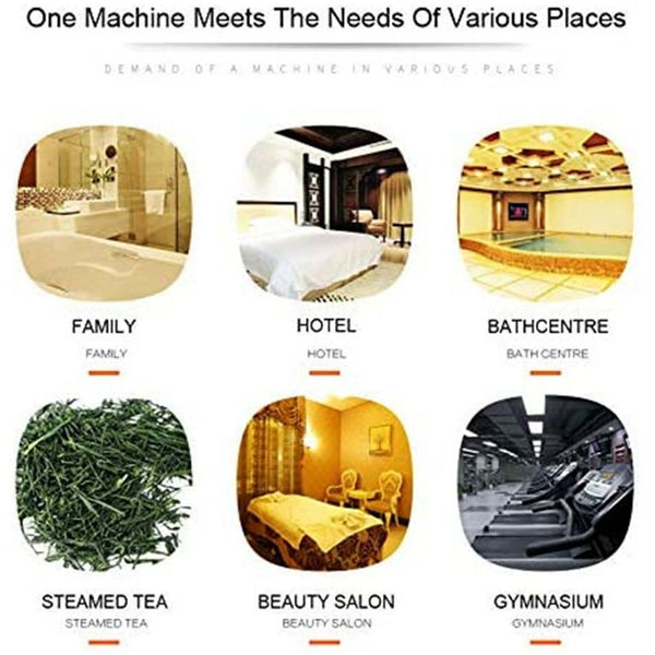 9KW Sauna Steam Machine Steam Generator Fumigation Device W/ Digital Controller