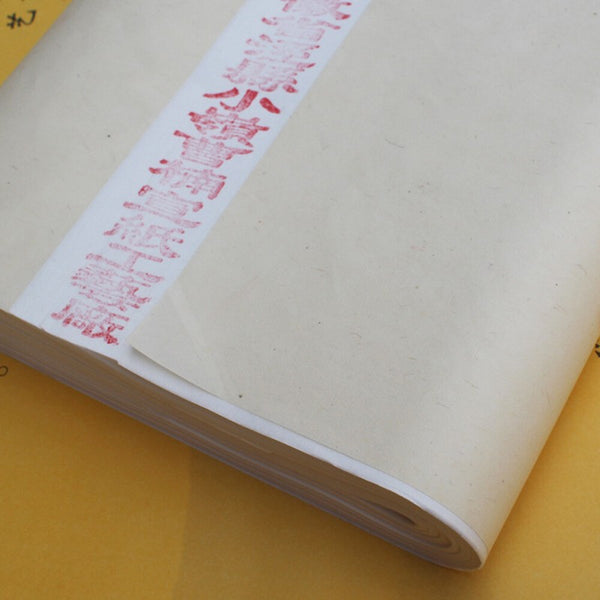 100pcs Chinese Xuan Paper Calligraphy Painting Rice Paper Brush Ink Writing Tool