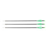 40lbs Hunting Compound Bow Arrow Archery Target Shooting With Archery Sights
