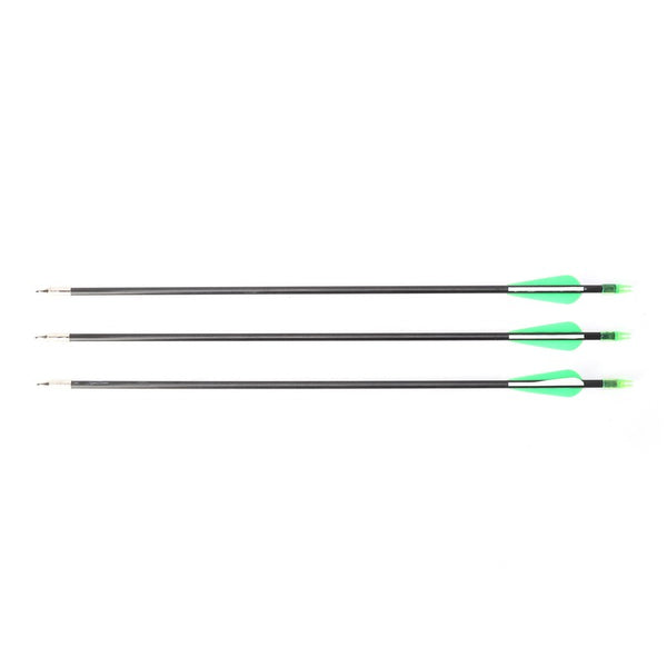 40lbs Hunting Compound Bow Arrow Archery Target Shooting With Archery Sights