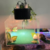 Reptile Lamp Double Dome UVB Light Head For Turtle Lizard with Separate Switches