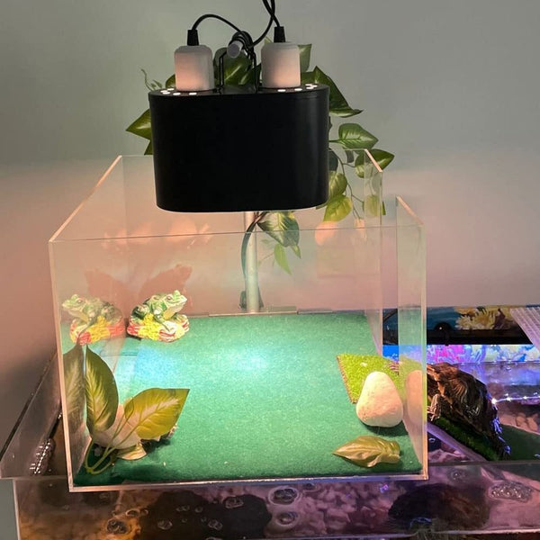 Reptile Lamp Double Dome UVB Light Head For Turtle Lizard with Separate Switches