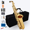 Eb Alto Saxophone Brass Lacquered Gold E-Flat Sax with Case & Accessories
