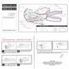 Pricing Gun Labeller Price Tag 10 Rolls Labels 1 Inks Roller Machine Kit AU