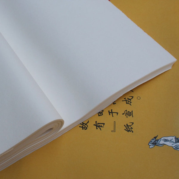 100pcs Chinese Xuan Paper Calligraphy Painting Rice Paper Brush Ink Writing Tool