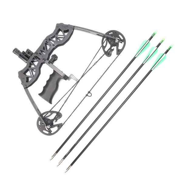 40lbs Hunting Compound Bow Arrow Archery Target Shooting With Archery Sights