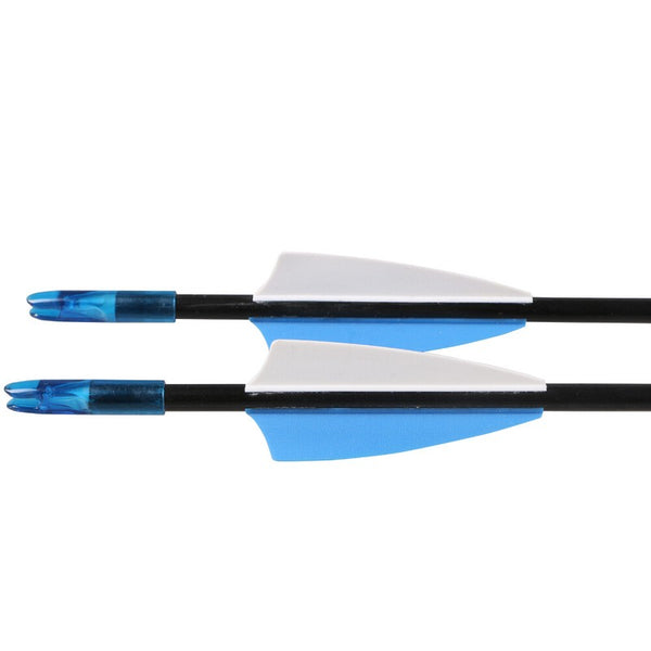 50x 31" FiberGlass Arrows Hunting Target Shooting Arrows for Teenager Upto 35LBS