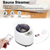 2.6L Sauna Steamer Steam Generator Fumigation Steam Machine for Home SPA 1000W